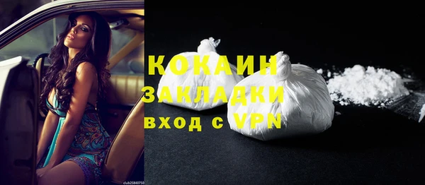 кокс Елизово