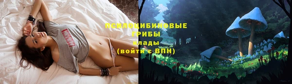 кокс Елизово