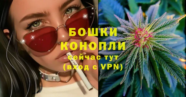 соль курить ск Ельня