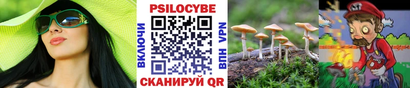 наркота  Дегтярск  OMG ТОР  Псилоцибиновые грибы Psilocybine cubensis 
